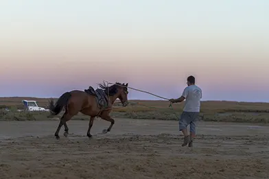 Man leading a saddled horse across a sandy landscape at sunset, with open terrain and soft pastel sky in the background.